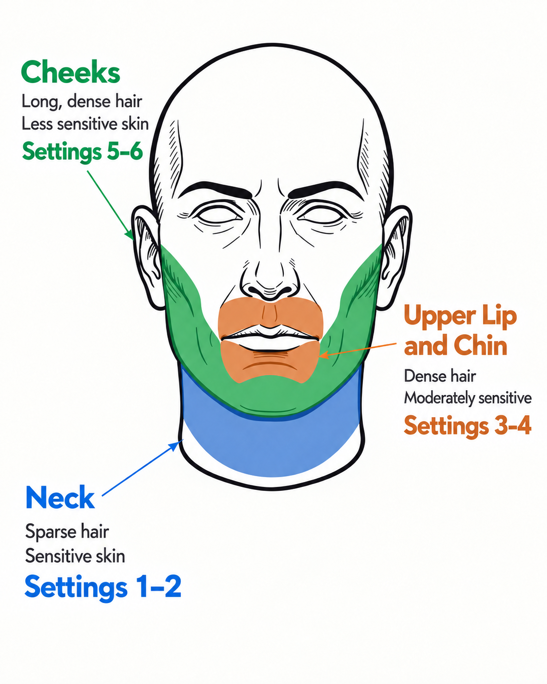 Face map showing different shaving areas